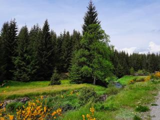 Ferienhaus am Erzgebirgskamm - 8