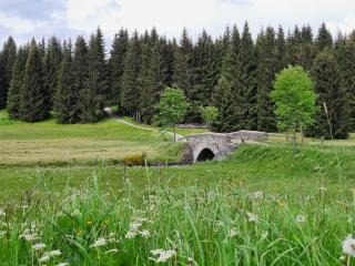 Ferienhaus am Erzgebirgskamm - 6