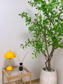 경기도 부천시 메종 드 연주, 김포공항10분, 방3개, 침대4개, 6인가족환영 - 5