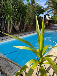 Studio tout confort avec piscine - 9