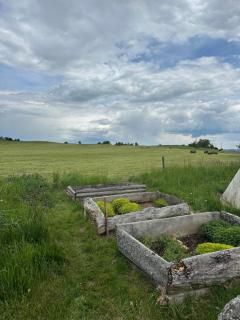 Apartmán Kryštof Harant - 2