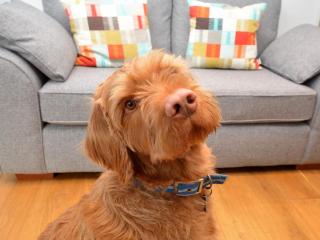 1 Bed in Lyme Regis oc-41563 - 5