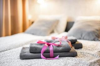 Super Central Studio with palace view! - 2