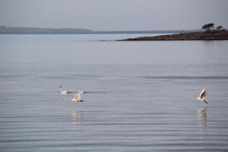 Escape to a Seaside Paradise Your Cozy Hideaway - 9