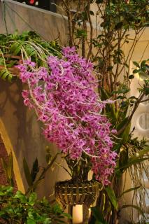 Que Lam Coffee & Homestay - 7