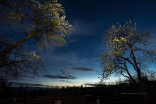 Wiesenbett unterm Nachthimmel - Regen - 3