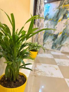 luxurious stay in janakpuri - your go to comfort place - 1