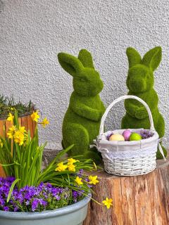 Cuib din Fagaras - 8