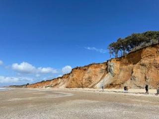 lesChenes - 8