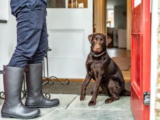 5 Bed in Holsworthy oc-77823 - 3