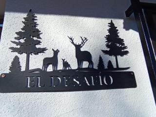 El DESAFÍO - 8