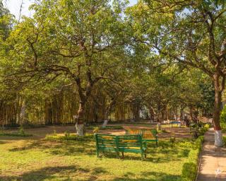 Hotel Misty Meadows by Vanyum - 8