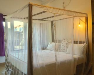 Gecko Beachfront Rooms - 3