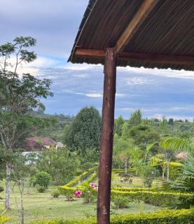 Andasibe Sifaka Lodge - 9