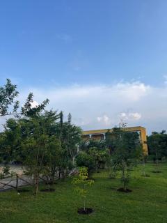 Andasibe Sifaka Lodge - 5