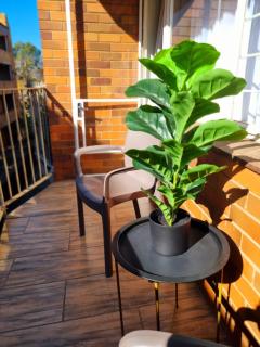 On the Up at Molen 2 - 8