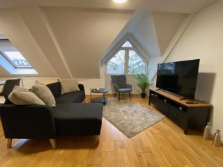 Moderne und neu ausgestatte Gästewohnung im Zentrum Merseburgs - 7