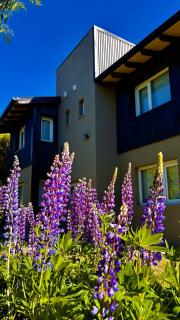 Del Lago Departamentos - 6