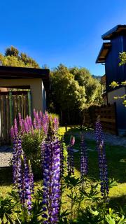 Del Lago Departamentos - 4