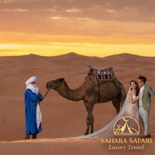 Sahara Safari Luxury Camp & Activities - 9