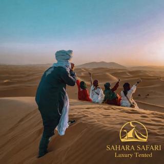 Sahara Safari Luxury Camp & Activities - 5