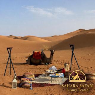 Sahara Safari Luxury Camp & Activities - 8