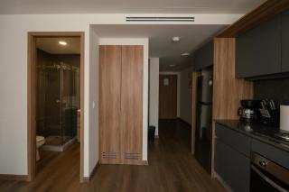 Furnished 2 Bedroom Apartment in Mexico City - 1