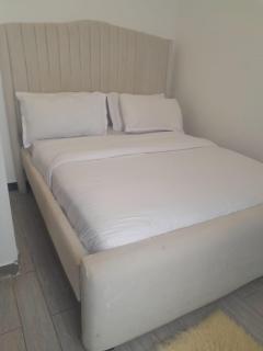 Elegant luxury three bedroom apartment with swimming pool fully equipped gym children playing ground ample parking space and amazing scenic view - 5