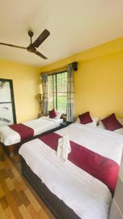 Jungle Front Lodge - 8