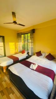 Jungle Front Lodge - 4