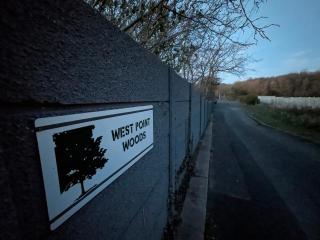 West Point Woods - 3