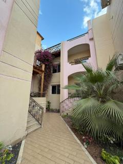 4S Hotel Dahab - 2