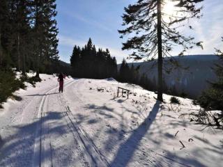 Ferienwohnung Christina in Friedrichroda - 2