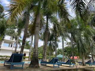 Royal Palms Apartments Unit 4A - Spacious 2-Bedroom Apartment - 4