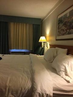 فندق قلب المنصور - 2