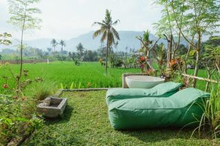 Green vanilla kabin - 6