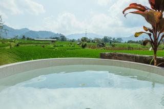 Green vanilla kabin - 7