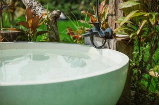 Green vanilla kabin - 9