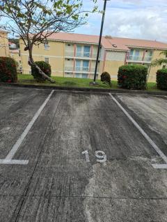 Studio vu sur les caraïbes - 8