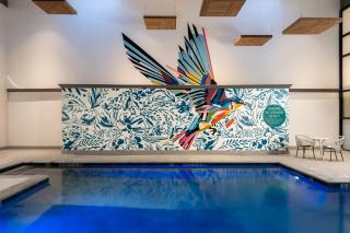 Hotel Mockingbird Dallas a Tribute Portfolio Hotel - 8