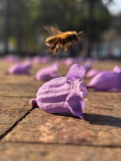 Fiesta Americana Reforma - 3