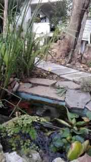 B&B Sun Garden - Montoro Inferiore - 6