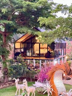 Mont Blanc Base Camp Khaoyai - 7