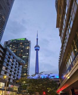 FIFA FAN FESTIVAL TORONTO DOWNTOWN STAY-Fast Wifi-DIRECT TRANSIT TO BMO FIELD - 0
