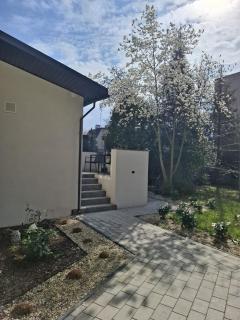 Apartament Pod Magnolią - Breslavia - 0