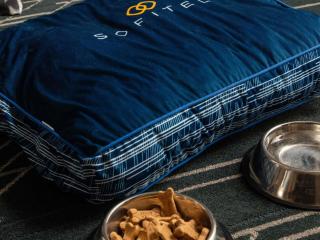 Sofitel Chicago Magnificent Mile - 3