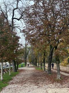 Le Mura - 1