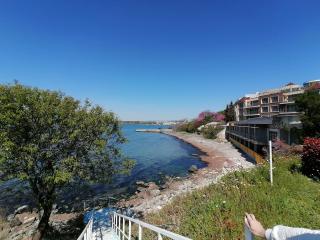 Студио C19 в к-с Blue Bay Palace - 1