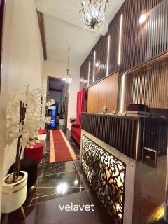 Dawn tawn velavet - 3