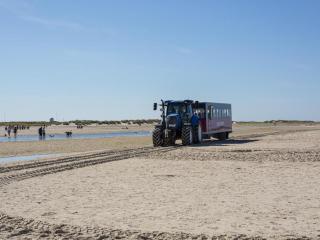 DCU-Camping Ålbæk Strand - 1